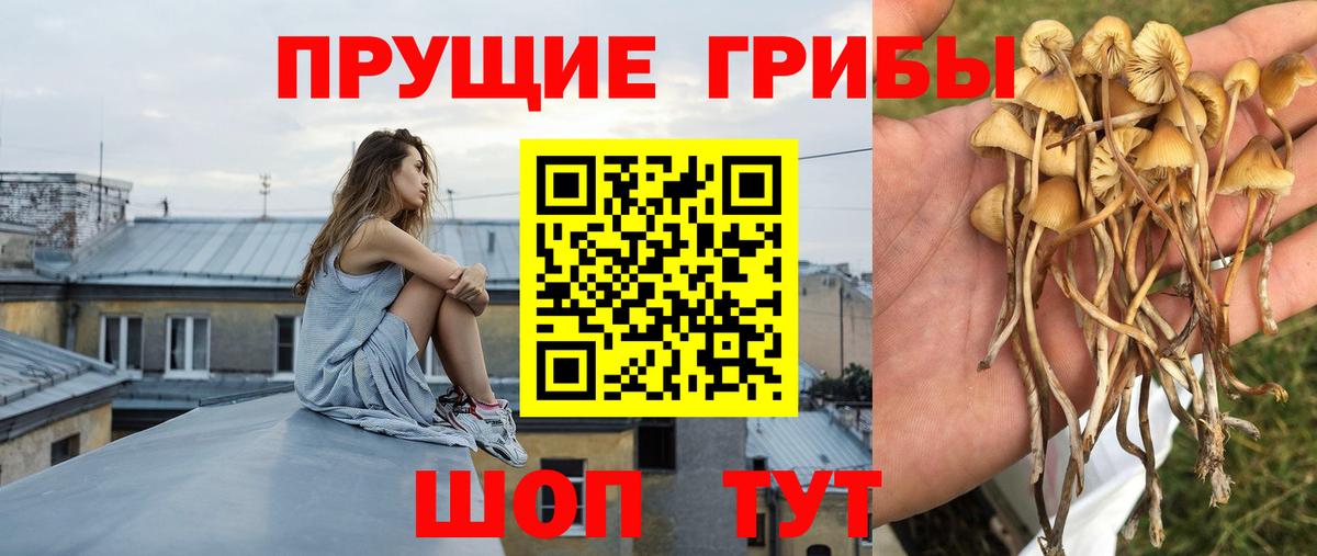 Новодвинск  Галлюциногенные грибы Cubensis  Псилоцибиновые грибы Magic Shrooms  Вход с VPN 