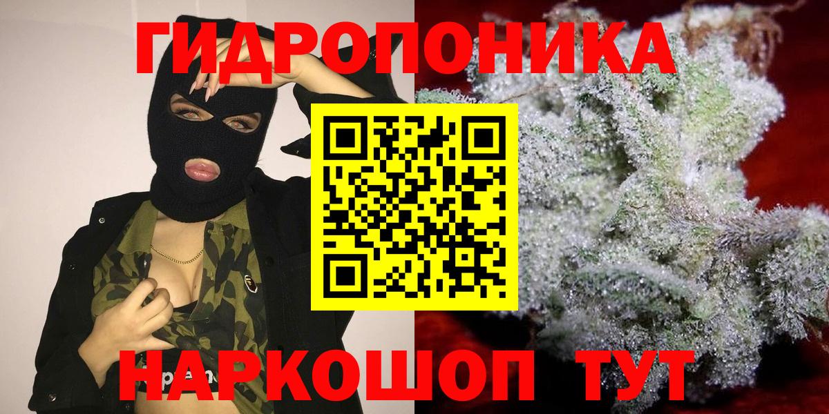 Каннабис план Новодвинск